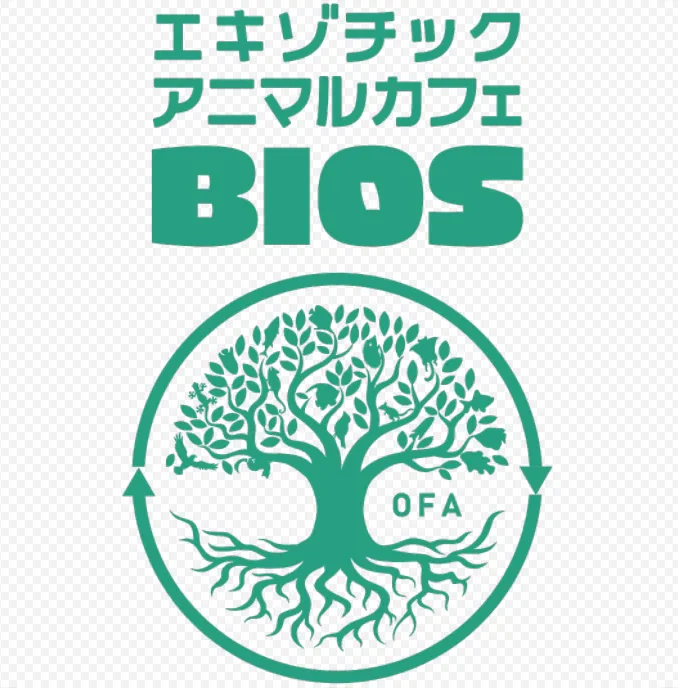 shopイメージ